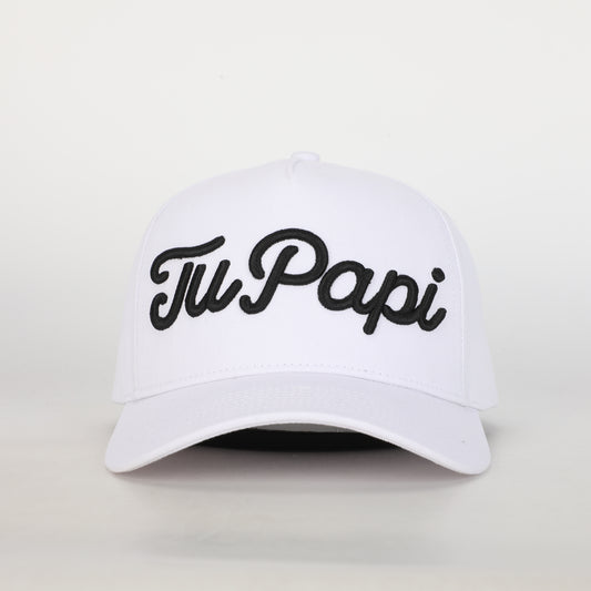 5 Panel- Polar