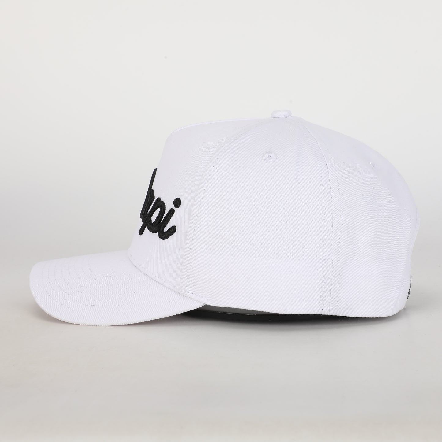 5 Panel- Polar