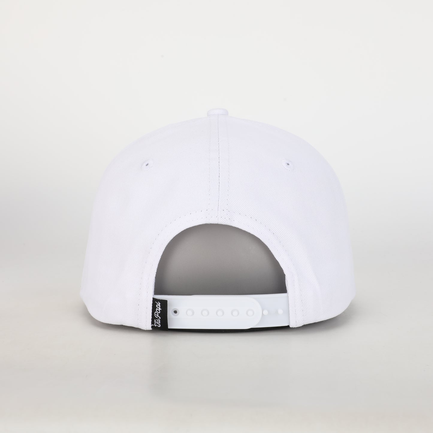 5 Panel- Polar