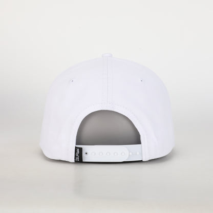 5 Panel- Polar