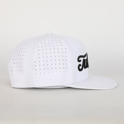 7 Panel- Polar