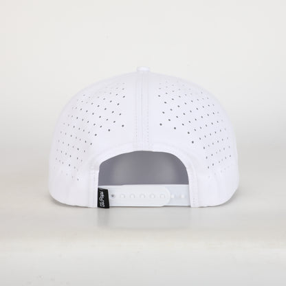 7 Panel- Polar